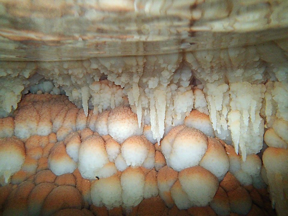 Beneath the surface of a crystal pool, Shatter Cave, Mendip Hills. Photographer: Nick Chipchase
