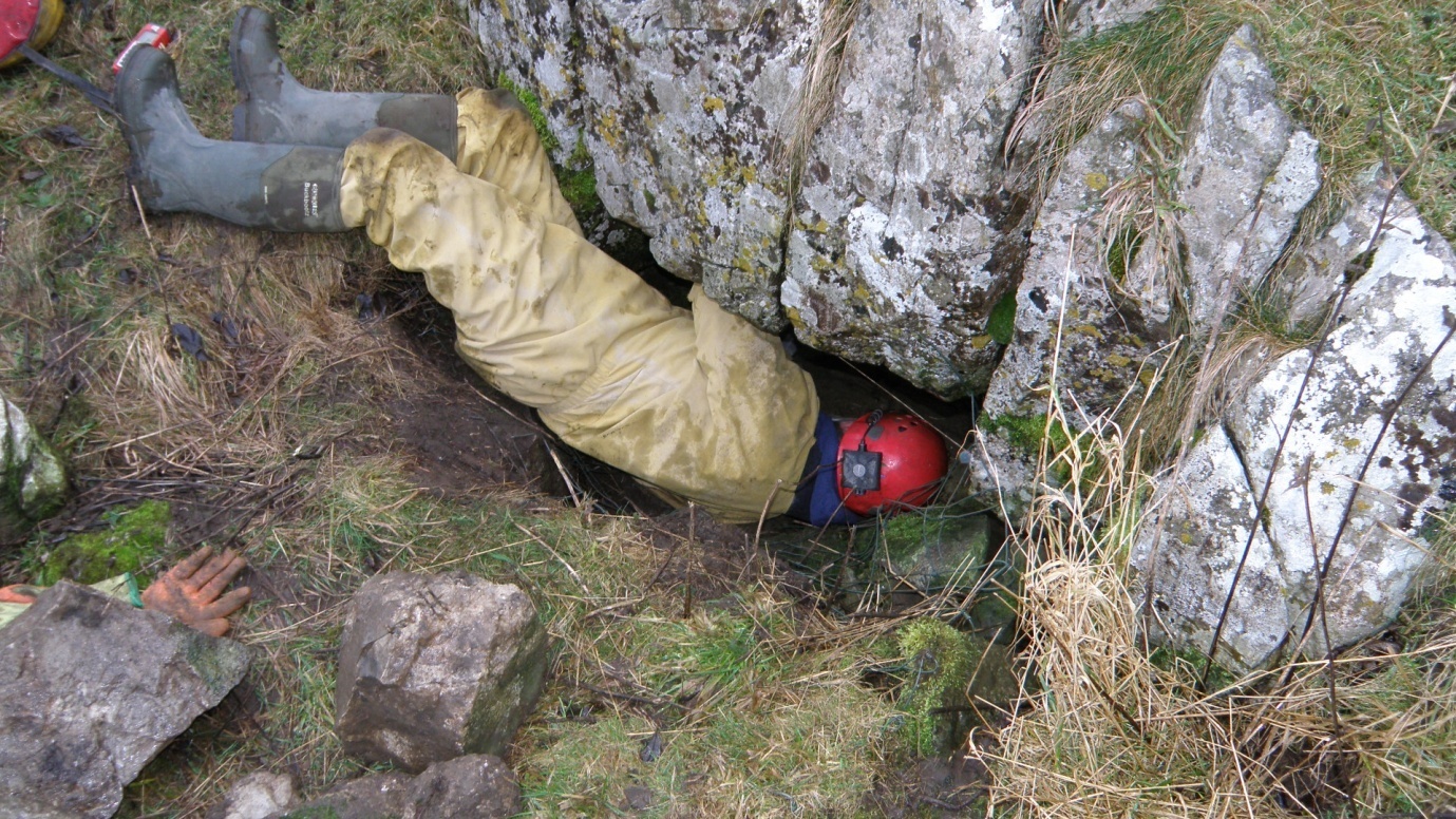 Fig. 2. John “Lugger” Thorp squeezes into the partly exposed entrance to Haggs Brow Cave.
