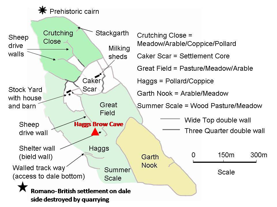 Fig.3. Haggs Brow Cave in relation to the infield area of the medieval stock farm at Winskill belonging to the Cistercian monastery of Sallay Abbey.