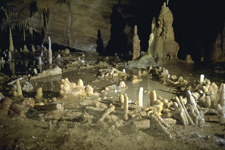Salle de la grotte de Bruniquel, Tarn-et-Garonne en 1992/93. Cette grotte comporte des structures aménagées datées denviron 176 500 ans. Léquipe scientifique a développé un nouveau concept, celui de "spéléofacts", pour nommer ces stalagmites brisées et agencées. Linventaire de ces 400 spéléofacts montre des stalagmites agencées et bien calibrées qui totalisent 112 mètres cumulés et un poids estimé à 2,2 tonnes de matériaux déplacés. Ces structures sont composées déléments alignés, juxtaposés et superposés (sur 2, 3 et même 4 rangs). Cette découverte recule considérablement la date de fréquentation des grottes par lHomme, la plus ancienne preuve formelle datant jusquici de 38 000 ans (Chauvet). Elle place ainsi les constructions de Bruniquel parmi les premières de lhistoire de lHumanité. Ces travaux ont été menés par une équipe internationale impliquant notamment Jacques Jaubert de luniversité de Bordeaux, Sophie Verheyden de lInstitut royal des Sciences naturelles de Belgique (IRSNB) et Dominique Genty du CNRS, avec le soutien logistique de la Société spéléo-archéologique de Caussade, présidée par Michel Soulier. UMR5199 DE LA PREHISTOIRE A L'ACTUEL : CULTURE, ENVIRONNEMENT ET ANTHROPOLOGIE ,UMR8212 Laboratoire des Sciences du Climat et de l'Environnement 20160048_0007
