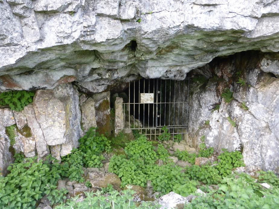 Albert Cave