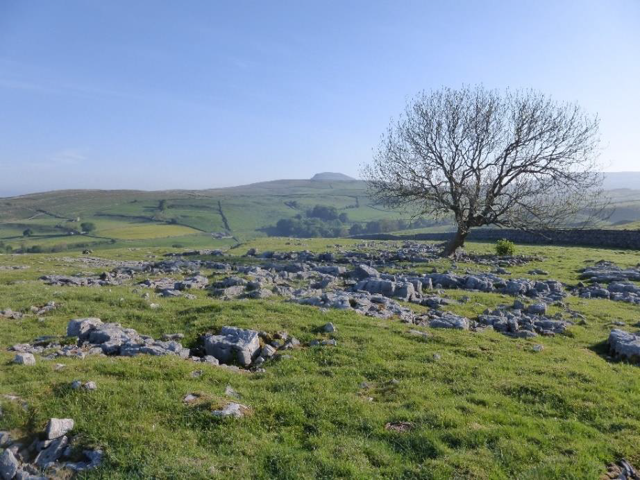 Limestone pavement has been removed