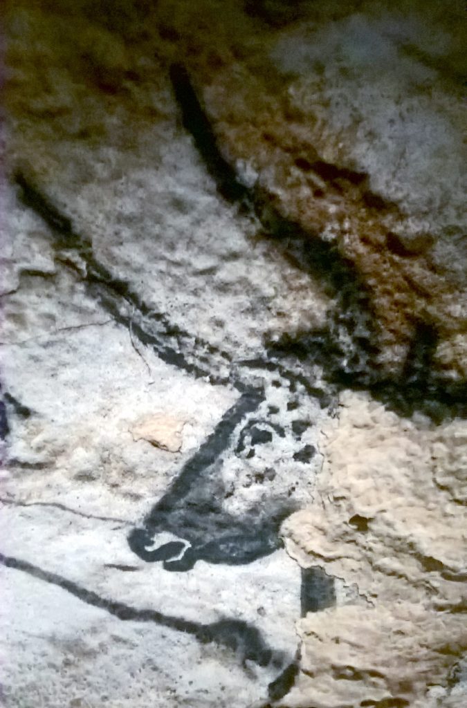 In the Hall of the Bulls, Lascaux IV