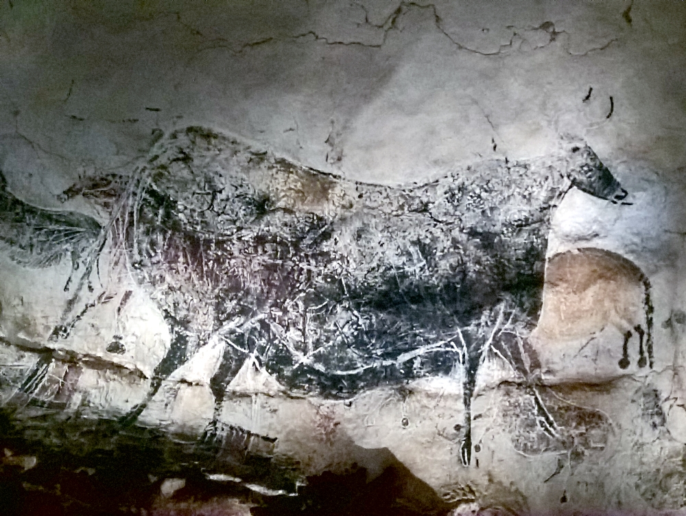 Bovine in the Axial Gallery, Lascaux IV