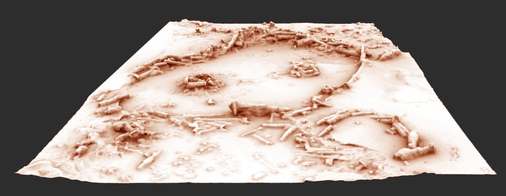 Restitution 3D des structures de la grotte de Bruniquel après la suppression des repousses stalagmitique récentes. Il ne sagit donc pas dune vue de la structure telle quelle se présente aujourdhui. Cette grotte comporte des structures aménagées datées denviron 176 500 ans. Léquipe scientifique a développé un nouveau concept, celui de "spéléofacts", pour nommer ces stalagmites brisées et agencées. Linventaire de ces 400 spéléofacts montre des stalagmites agencées et bien calibrées qui totalisent 112 mètres cumulés et un poids estimé à 2,2 tonnes de matériaux déplacés. Ces structures sont composées déléments alignés, juxtaposés et superposés (sur 2, 3 et même 4 rangs). Cette découverte recule considérablement la date de fréquentation des grottes par lHomme, la plus ancienne preuve formelle datant jusquici de 38 000 ans (Chauvet). Elle place ainsi les constructions de Bruniquel parmi les premières de lhistoire de lHumanité. Ce modèle 3D est construit à partir dune série de photographies réalisées par Pascal Mora. Ces travaux ont été menés par une équipe internationale impliquant notamment Jacques Jaubert de luniversité de Bordeaux, Sophie Verheyden de lInstitut royal des Sciences naturelles de Belgique (IRSNB) et Dominique Genty du CNRS, avec le soutien logistique de la Société spéléo-archéologique de Caussade, présidée par Michel Soulier. UMR5199 DE LA PREHISTOIRE A L'ACTUEL : CULTURE, ENVIRONNEMENT ET ANTHROPOLOGIE ,UMS3657 ARCHEOVISION - SHS - 3D 20160048_0005