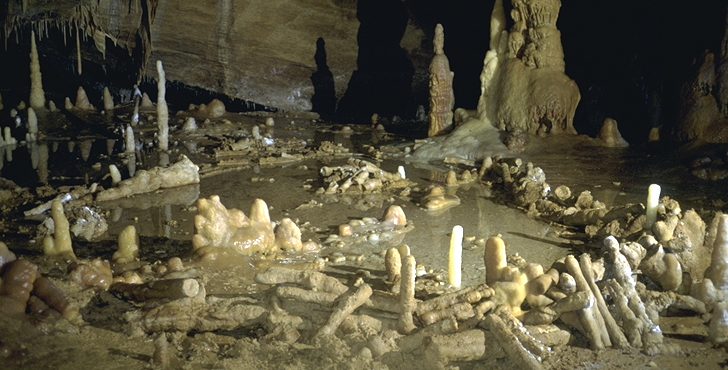 News: Stunning New Discoveries in Bruniquel Cave
