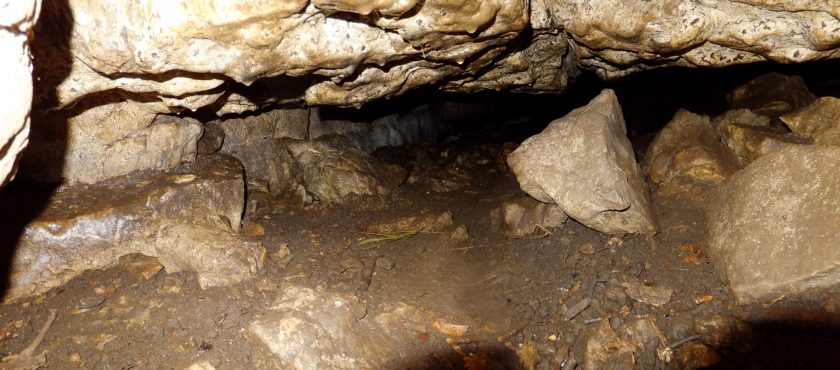 Cave Archaeology in North Wales – the last few years
