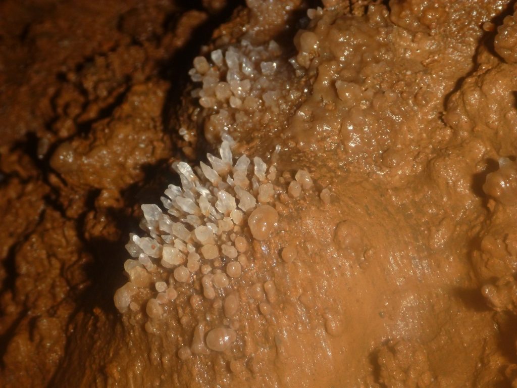 Unusual calcite crystals growing on older stal