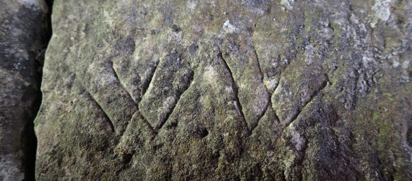Settle down to host historic graffiti and protection marks field meeting