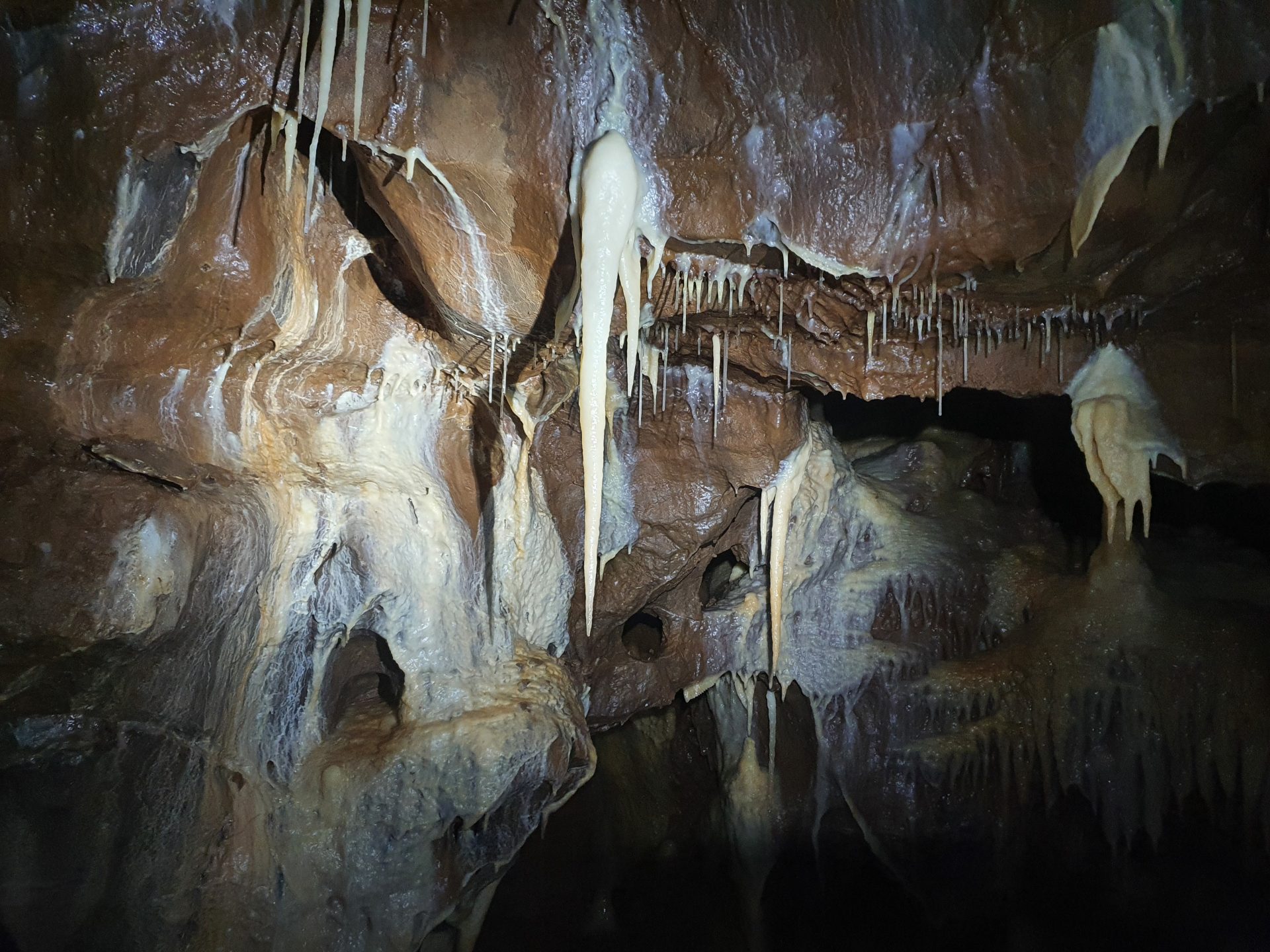 Shatter Cave, Mendip, Somerset. Photograph by Linda Wilson
