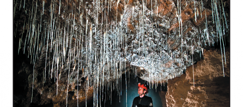 Cave and Karst Science Vol 48 No 1: Straws, bears and speleobiology before Darwin!
